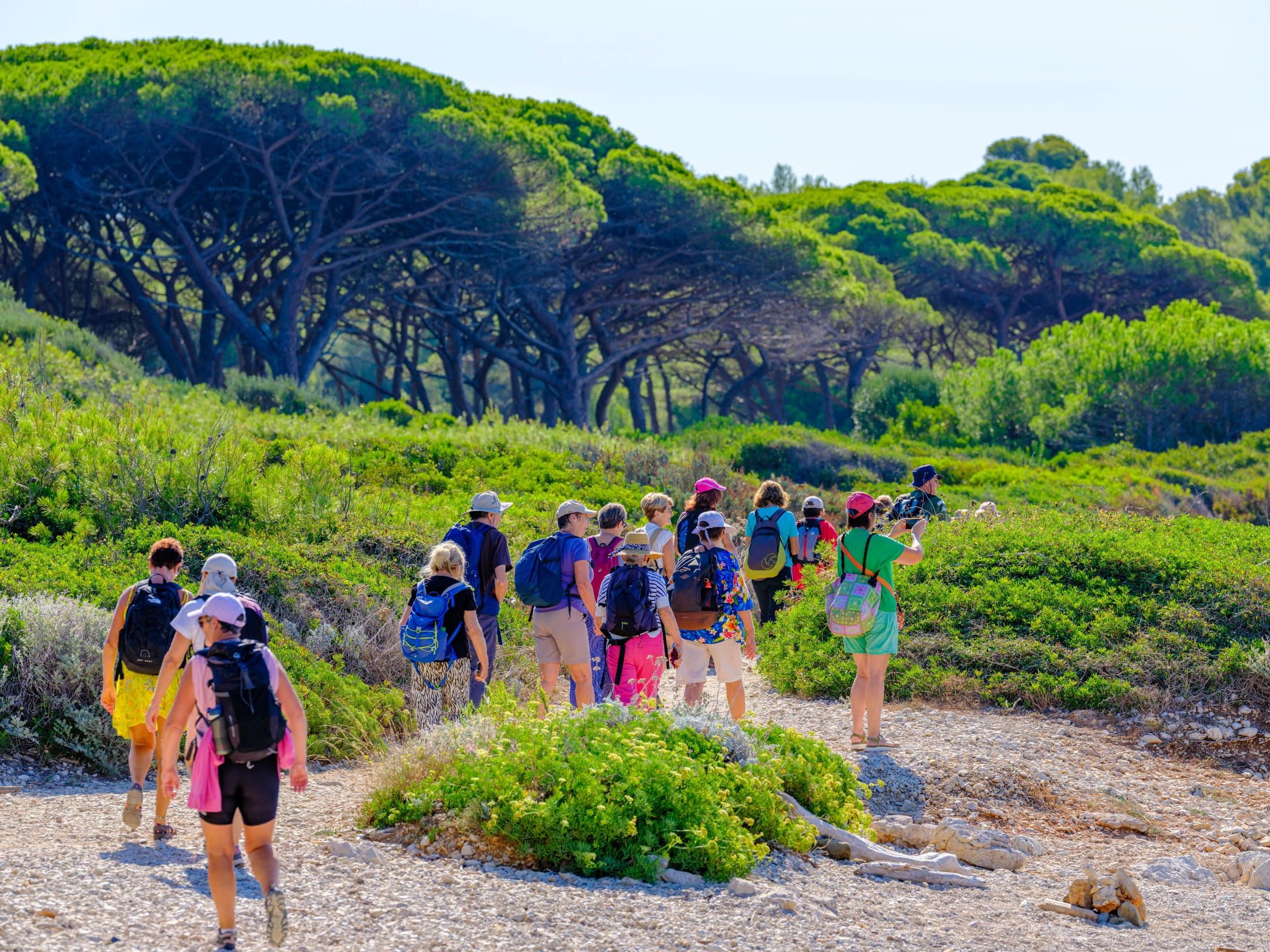 Lérins - Sainte-Marguerite 2026