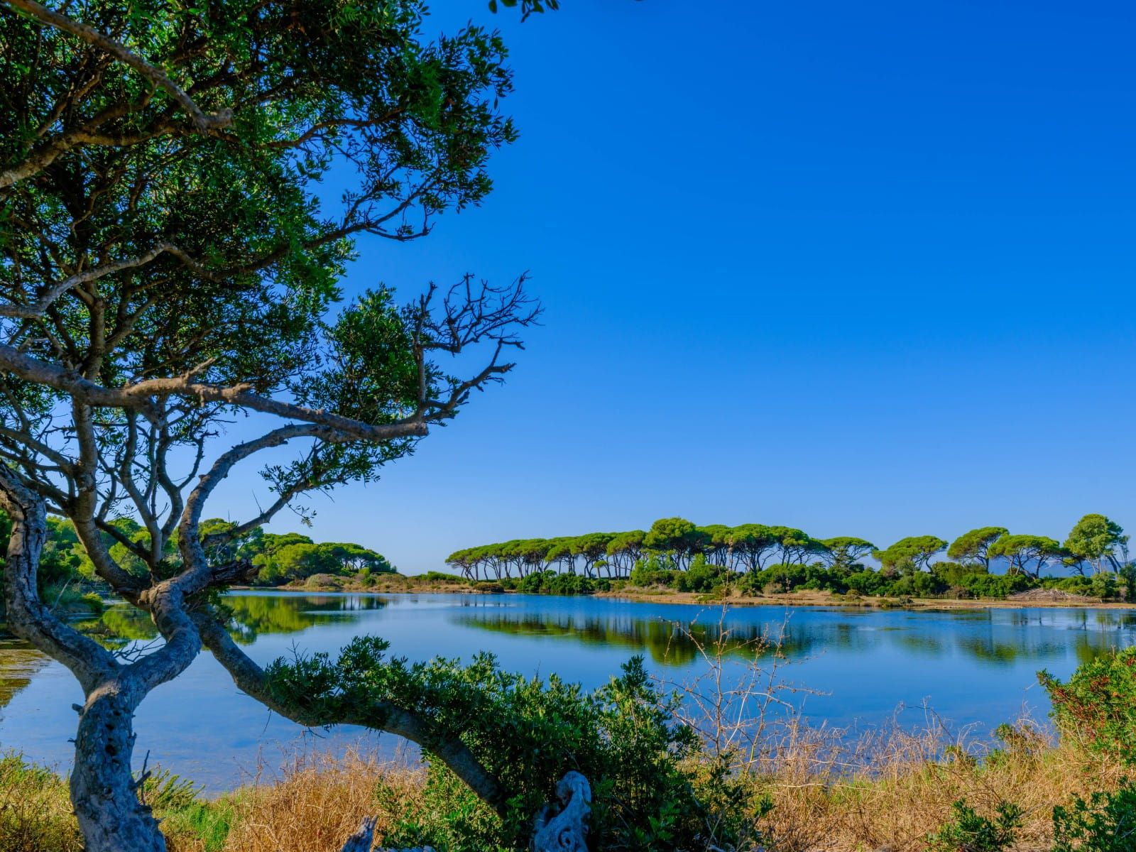 Lérins - Sainte-Marguerite 2026